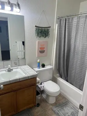 a bathroom with a toilet and a sink and a shower at Cheerful 3BR 2BA Sauna Spa Pool Table PPong BBQ More in Lancaster