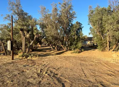 a dirt road with trees and a house in the background at Quaint Vintage Ranch Style 4BedRoom 2Bath Sleeps 10 in Lancaster