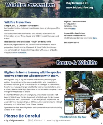 a screenshot of a website for a wildlife preservation website at Silver Rays - Game room with pool table & air hockey! Close to the slopes!! in Big Bear Lake