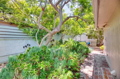 a garden with plants and a tree next to a house at Vibrant Home with Patio - Near Santa Monica Pier! in Los Angeles