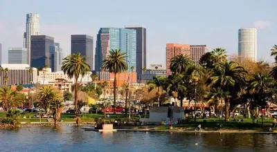 a city skyline with palm trees and a body of water at Bright lights central Downtown in Los Angeles