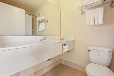 a bathroom with a toilet and a sink and a mirror at Rotex Western Inn in Los Angeles