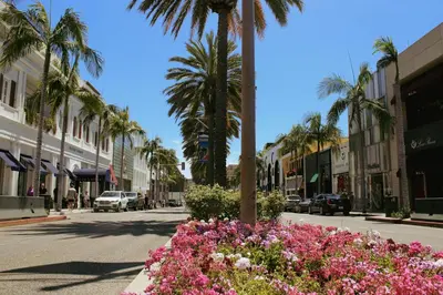 a city street with palm trees and pink flowers at Hollywood CHIC Studio with FREE parking in Los Angeles
