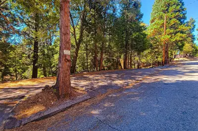 a tree on the side of a road at Quiet Wooded Retreat in Lake Arrowhead
