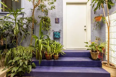 a bunch of potted plants sitting on a blue porch at Lovely one bedroom guest house in Encino village in Los Angeles