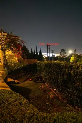 a view of a garden at night with the words soft absorbed at Inglewood Forum and Sofi park and walk private room in Inglewood