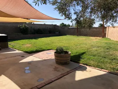 a backyard with a potted plant in the middle of a yard at Oasis Hm near Rancho Vista- Shared Hm in Palmdale
