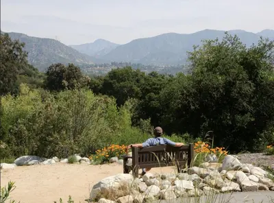 a man sitting on a bench looking at the mountains at SoCal Lux on Miramar in Los Angeles