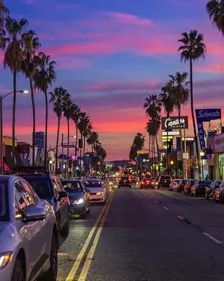 a city street filled with lots of traffic with palm trees at Cozy spot in Koreatown in Los Angeles