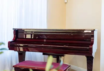 a piano sitting in front of a window at Resort Home with Games, Slide, Oasis in Los Angeles