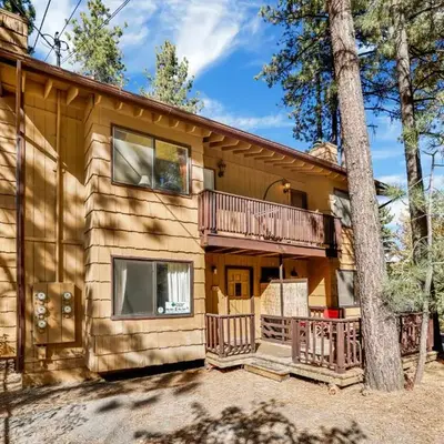 Buttercup #2508