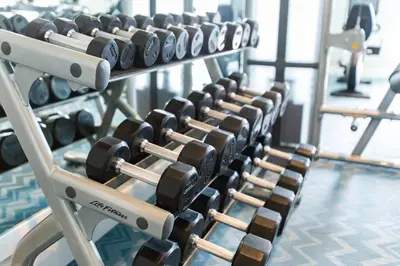 a row of dumbbells on a rack in a gym at 3 Miles to Disney Heated Pool CnvntnCtr Jacuzzi in Fullerton