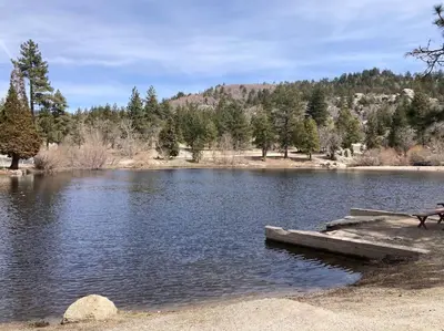 a bench sitting next to a lake with trees at Beautiful A-Frame Mountain Cabin with Hot Tub! in Running Springs