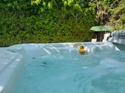 a toy rubber duck in a swimming pool at Mediterranean Villa-Pool Jacuzzi BBQ-Malibu Bliss in Los Angeles