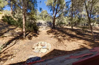a fire pit in the middle of a forest at Game Room and Deck Modern Frazier Park Home! in Pine Mountain Club