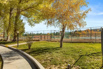a tree in a park next to a fence at BIg Bear G5 Getaway in Big Bear Lake