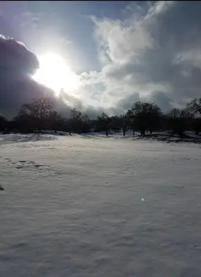 a field covered in snow with the sun in the sky at Beautiful Mountain Home in Tehachapi