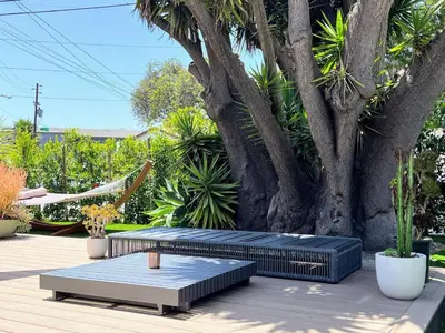 two benches sitting on a deck next to a tree at Bright 2-BR Home Near LAX with Shared Yard - SH2-LAD in Los Angeles