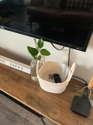 a plant in a basket next to a television at Sunny Retro Row Condo- Walk to Beach! in Long Beach