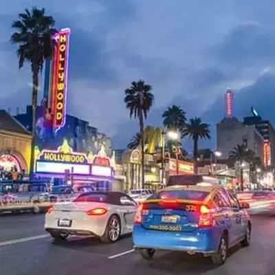 Los Angeles Cozy Vibe