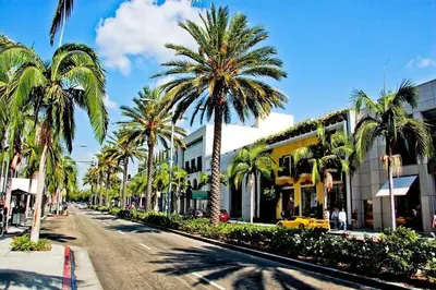 a city street with palm trees and a building at Beverly Hills Charm Rodeo Cedar in Los Angeles