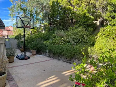 a basketball hoop in the middle of a garden at Porter Paradise in Deer Lake Highlands
