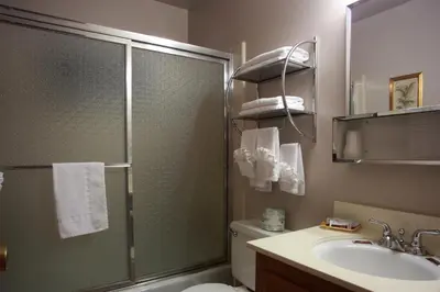 a bathroom with a shower and a toilet and a sink at Sleepy Hollow Cabins and Hotel in Crestline