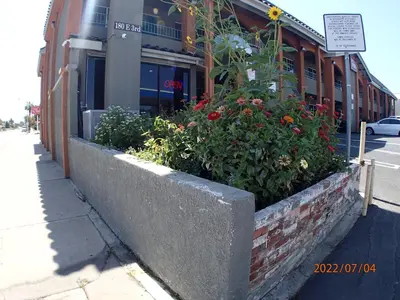 a concrete planter with flowers in front of a building at Corona inn in Corona