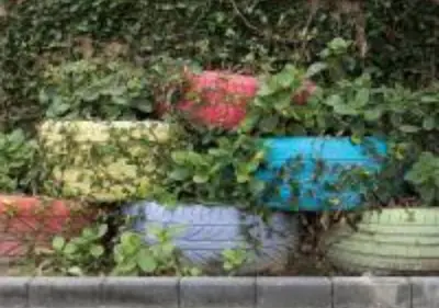 a group of flower pots with roses in them at MagicwayVillas Cars Theme Pool House - Pool&Spa in Anaheim