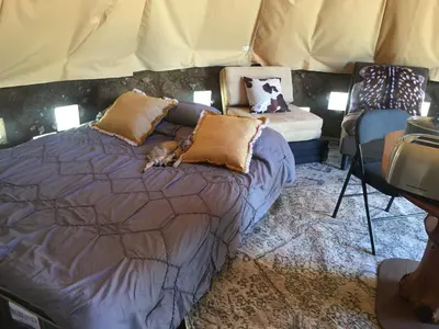 a dog laying on a bed in a room at Big Glamping Teepee in Bodfish