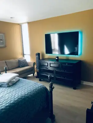 a bedroom with a tv and a bed and a couch at Best Location West LA Spacious condo with hottub in Los Angeles
