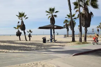 a beach with palm trees and a picnic shelter at Maison on the Beach in Los Angeles
