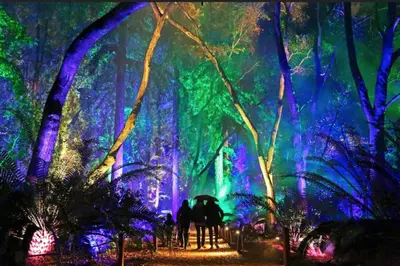 a group of people walking through a forest at night at ELEGANT RESORT-SoCal-Lux on 3rd in Los Angeles