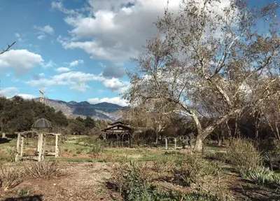 a field with a tree and a cross in the distance at ELEGANT RESORT-SoCal-Lux on 3rd in Los Angeles