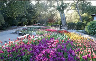 a garden of colorful flowers in a park at ELEGANT RESORT-SoCal-Lux on 3rd in Los Angeles
