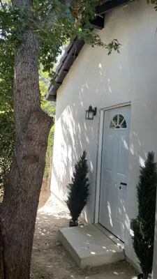 a small tree sitting next to a white door at Luxury mini house in Hughes-Canoga Park Heliport