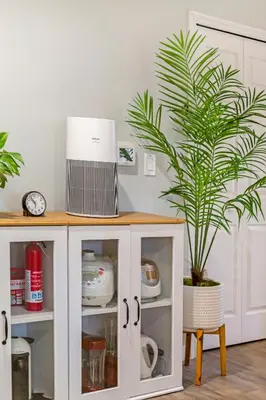 a white cabinet with a potted plant in it at Remodeled House Near Disneyland in Fullerton