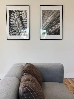 two framed pictures on a wall above a couch at Cozy private Room D in S Central LA in Los Angeles