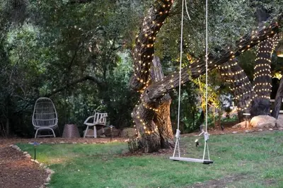a tree with lights on it with a swing at Topanga Canyon Oasis by Colby & Conrad in Topanga