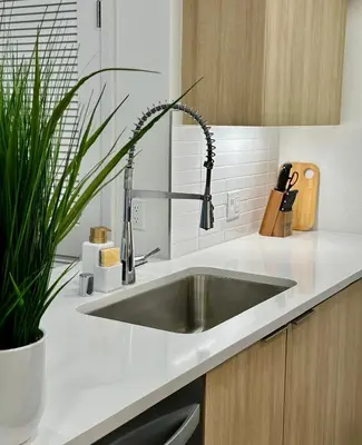 a kitchen with a sink and a potted plant at Beautiful 2bd 2bth apartment in Santa Monica in Los Angeles