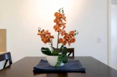 a plant in a vase sitting on a table at Stunning 2BR Penthouse Patio & View Venice MDR in Los Angeles
