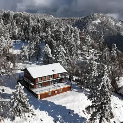 THE Cabin