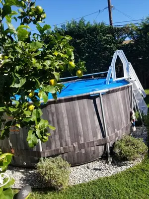 a plunge pool in a garden with an orange tree at Studio in Southbay close to the beach SoFi stadium LAX in Lawndale