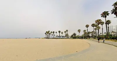 a beach with palm trees and a person walking on it at Sleek Luxury Studio with Patio LAX & Beach Access in Los Angeles