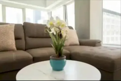 a vase of flowers on a table in a living room at Stunning 3 Bedroom High-Rise with Pool, Spa, and Rooftop Views in Los Angeles