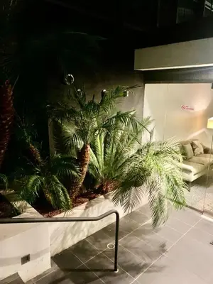a group of palm trees sitting on a wall at Masion de Beverly Hills in Los Angeles