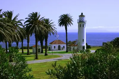 a lighthouse with palm trees in front of the ocean at Relaxing space in Palos Verdes in Rancho Palos Verdes