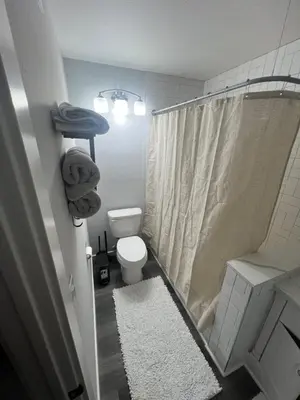 a bathroom with a shower and a toilet and a rug at Vacation-Poppy Fields, Antelope Valley & Aerospace in Lancaster