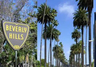 a yellow sign with palm trees in the background at Best Prime Location Hollywood Private House in Los Angeles