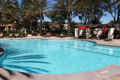 a large swimming pool with chairs and palm trees at Pretty Relaxed Me in Brea